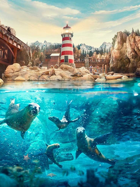 Seals swimming and resting near a lighthouse at SeaWorld Abu Dhabi.