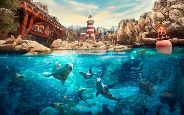 Seals swimming and resting near a lighthouse at SeaWorld Abu Dhabi.