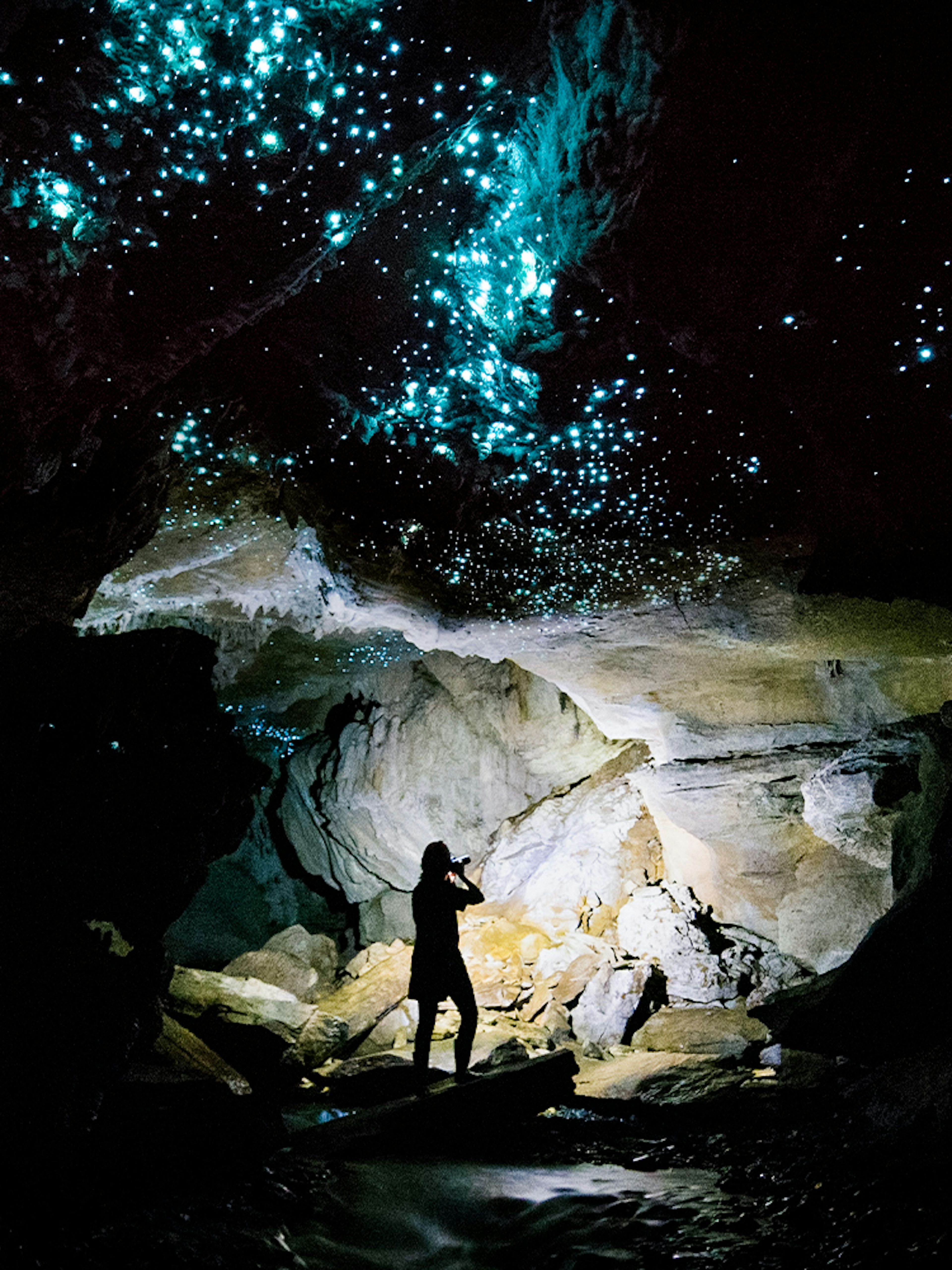 Glowworms illuminating Waitomo Caves with a silhouetted person on a guided tour.
