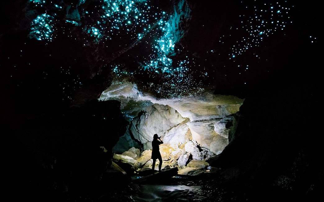Glowworms illuminating Waitomo Caves with a silhouetted person on a guided tour.