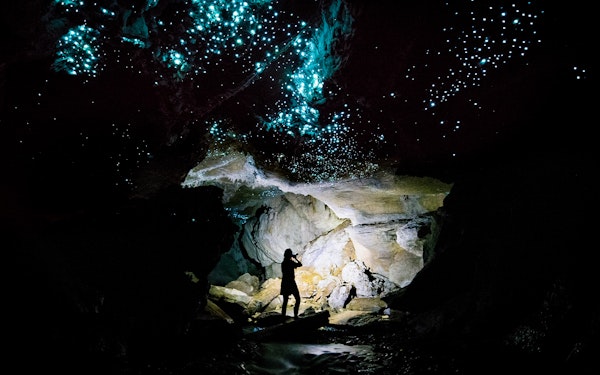 Offbeat Waitomo Glowworm Cave Small Group Guided Tour