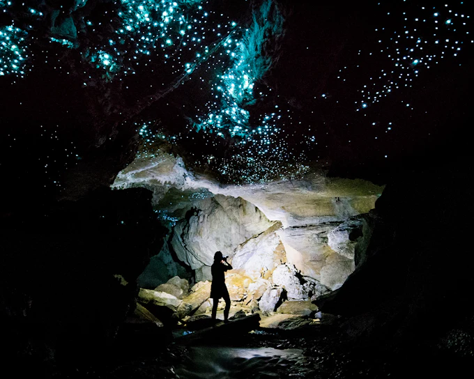 Offbeat Waitomo Glowworm Cave Small Group Guided Tour