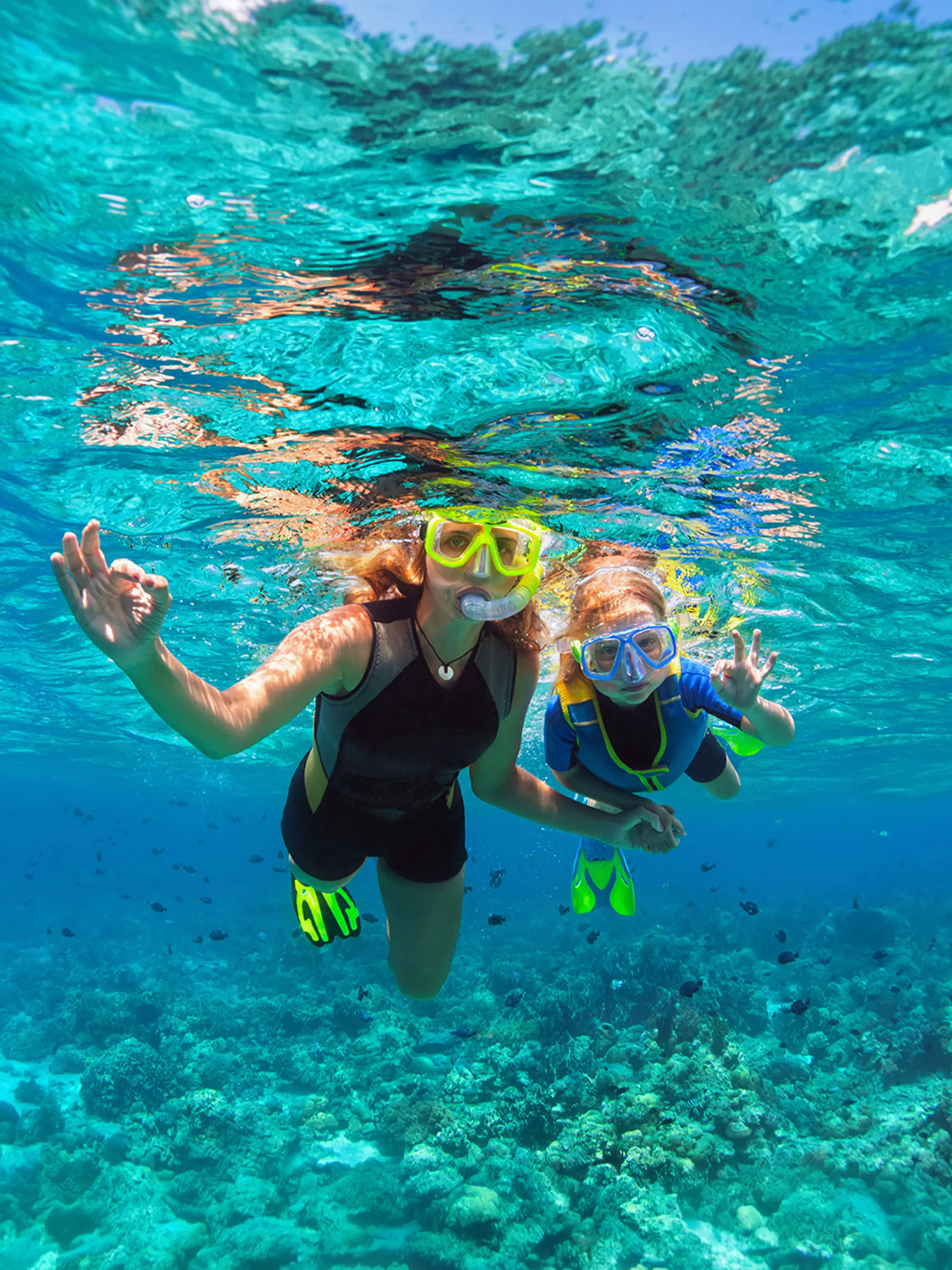 Big Island Snorkeling