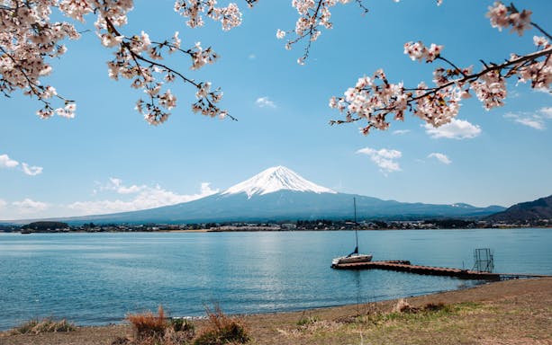 Mt. Fuji viewed from Kawaguchiko with cherry blossoms and a docked sailboat.