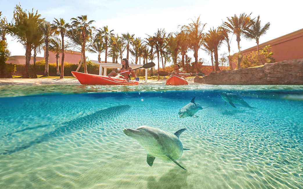 Kayaking with dolphins at Atlantis The Palm, Dubai.