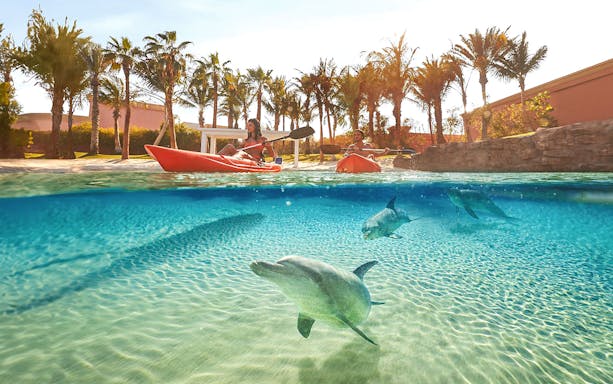 Kayaking with dolphins at Atlantis The Palm, Dubai.