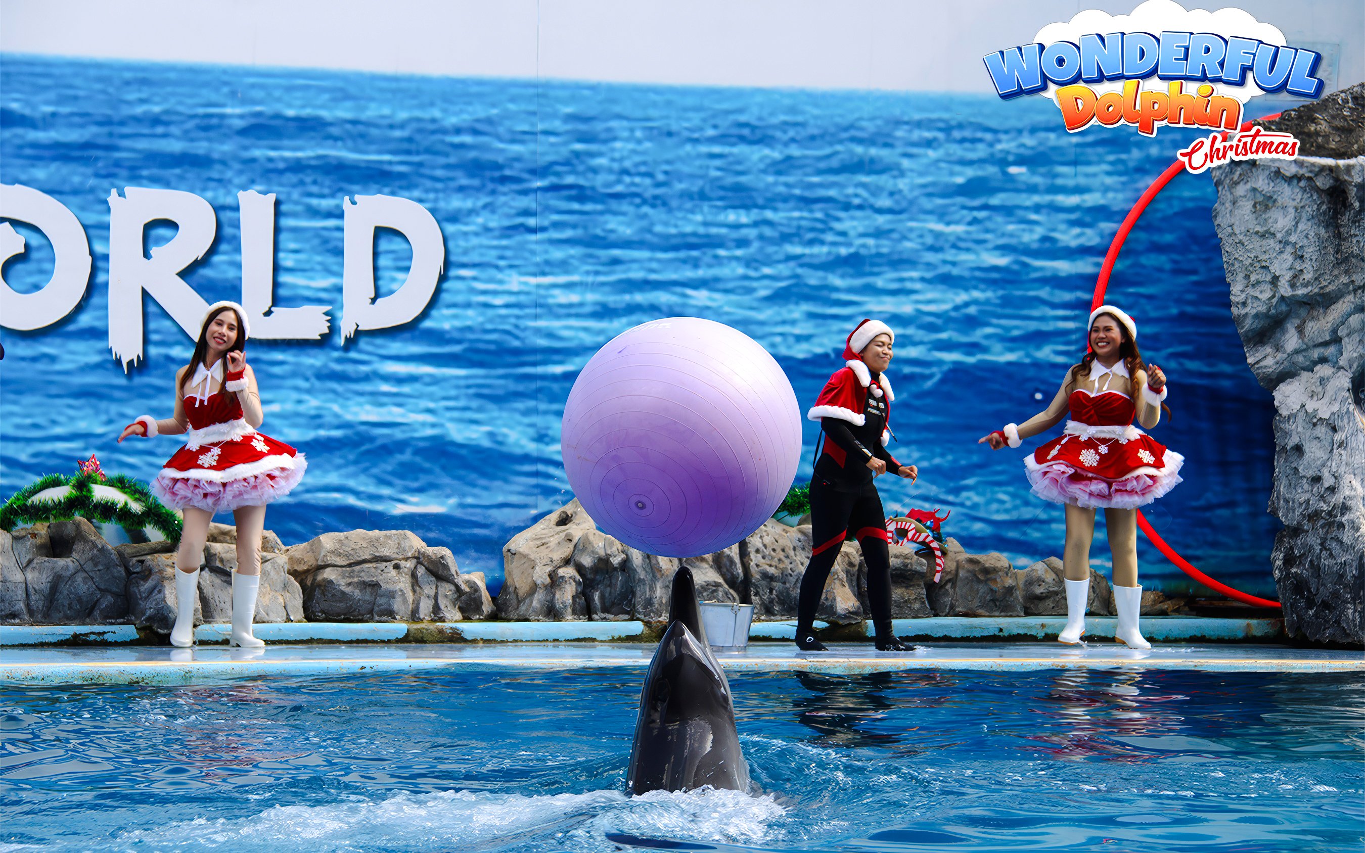 Dolphin balancing a colorful ball at a marine park show with performers in festive attire.