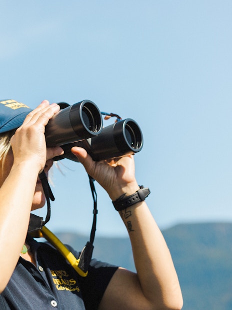 Woman using binoculars on a train, looking at distant mountains.