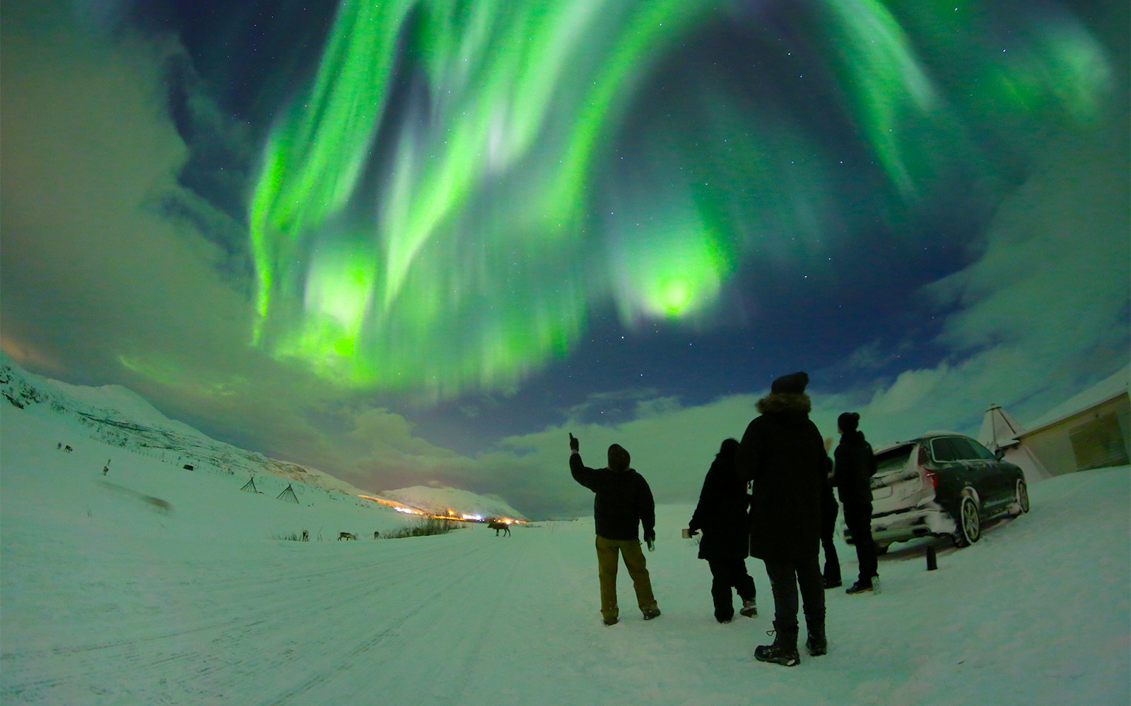 Northern Lights tour in Iceland