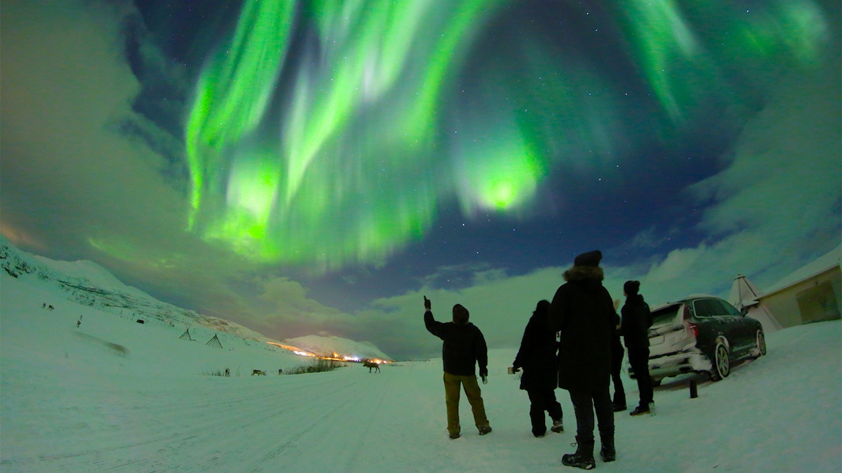 People watching Northern Lights with guide