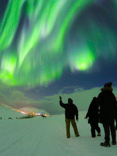 People watching Northern Lights with guide in Tromso, Norway.
