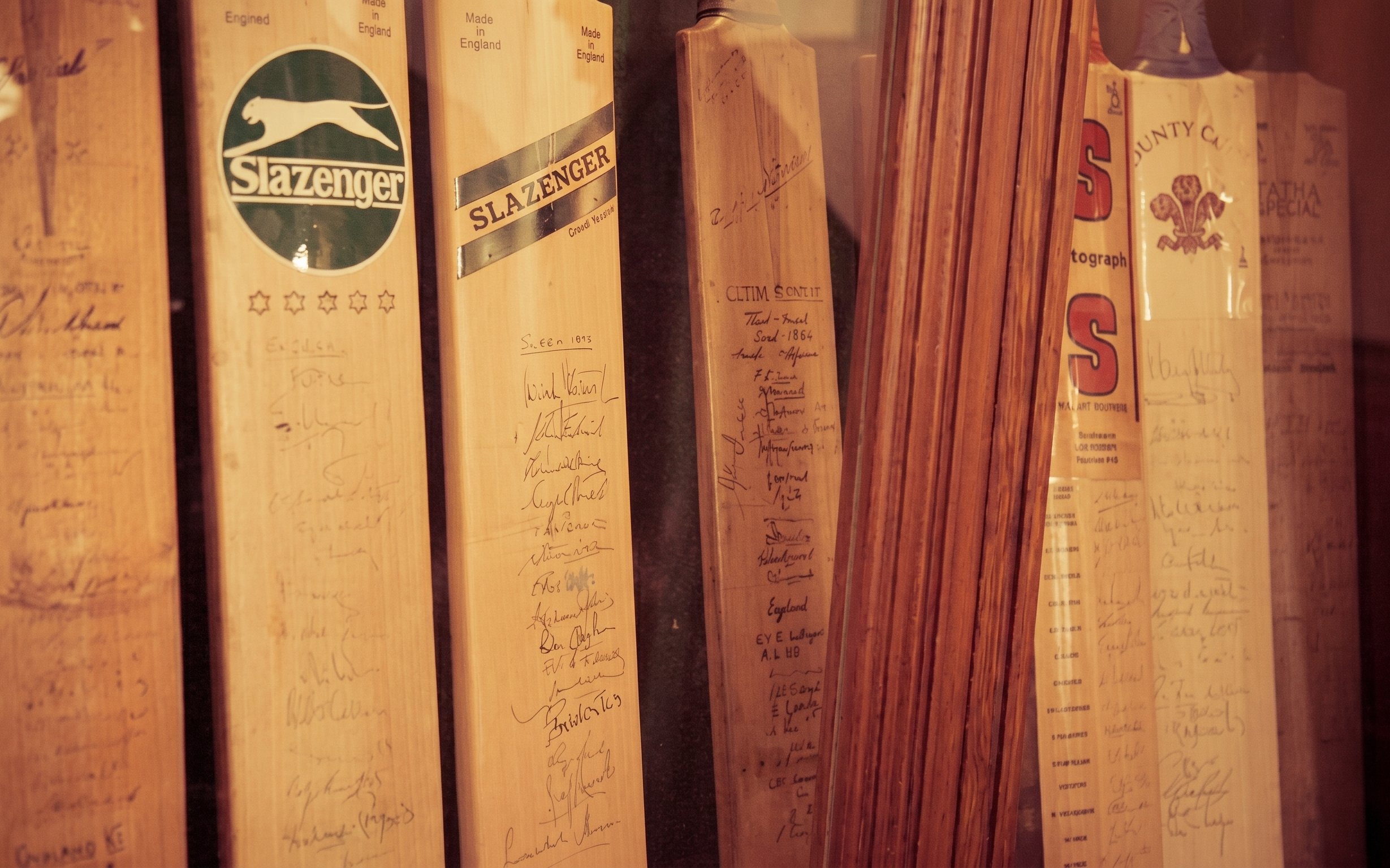 Signed cricket bats displayed at Kia Oval Stadium.