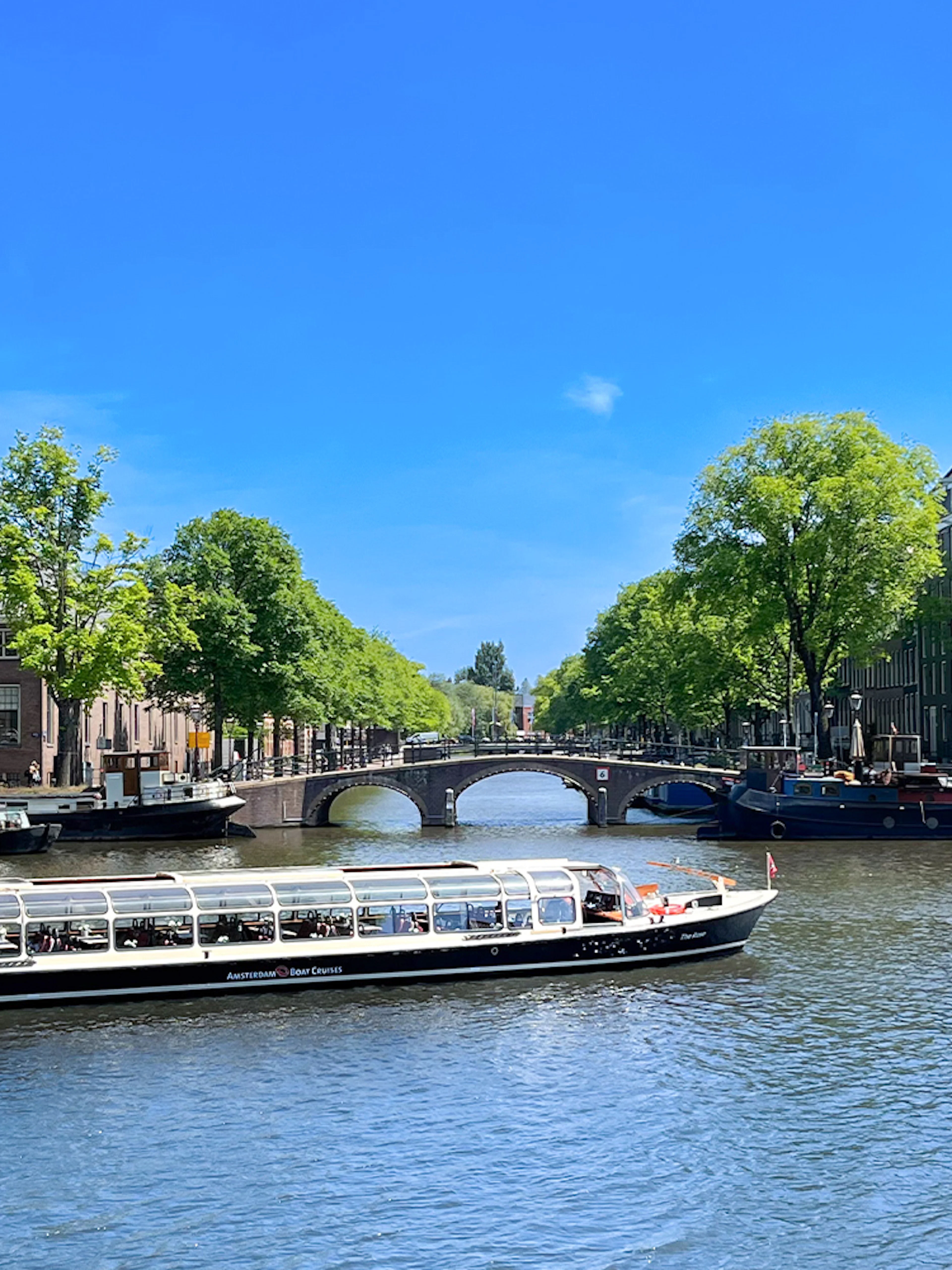 Canal cruise boat on Amsterdam's scenic canal with historic buildings and bridge.