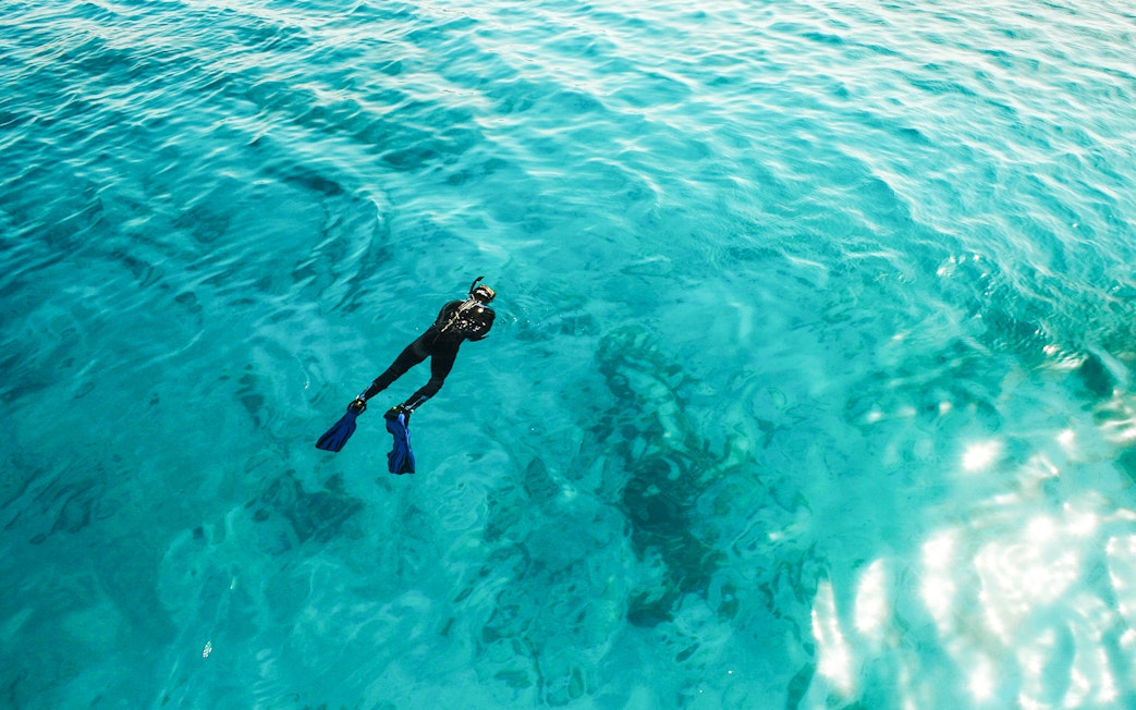 Snorkeler in clear waters at White Island, Ras Mohamed National Park, Sharm El-Sheikh.