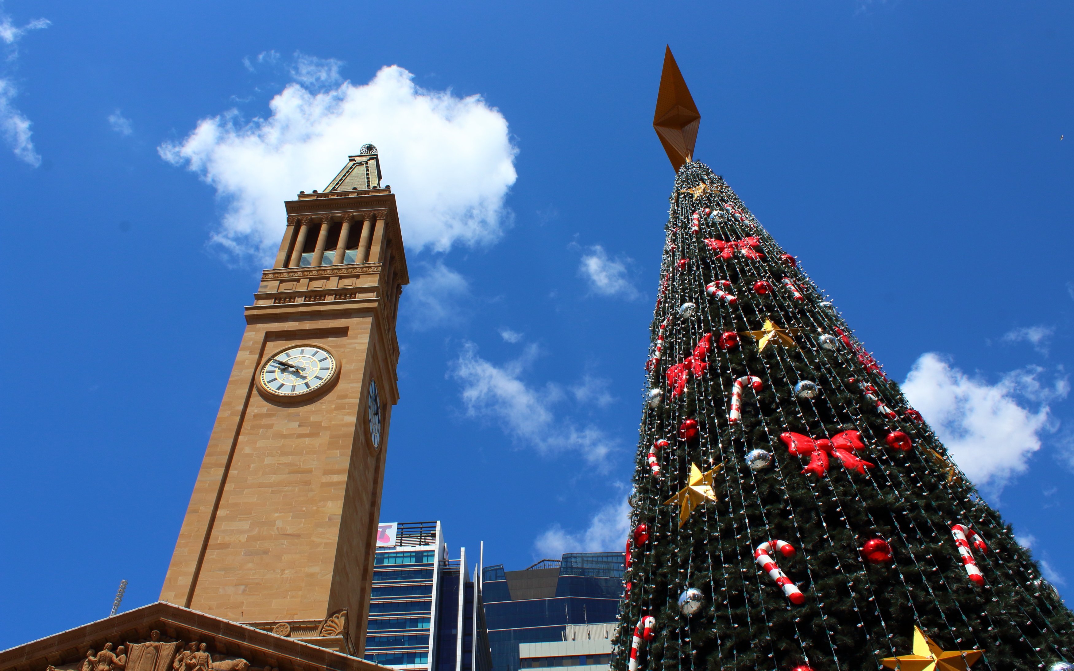 Christmas Tree in Brisbane