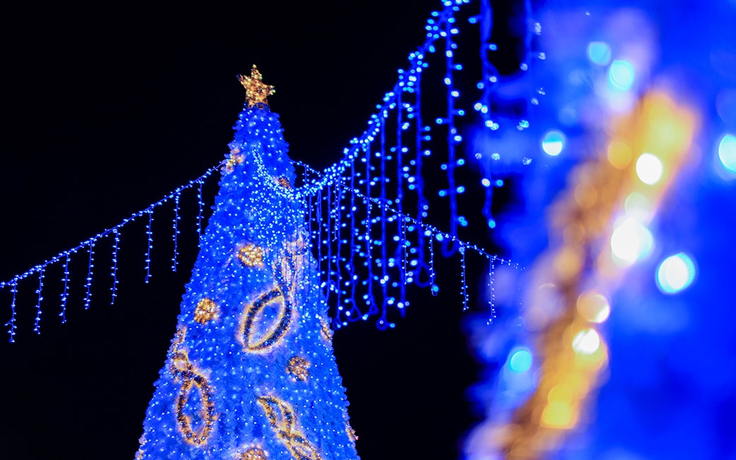 Blue Christmas lights display during Singapore Night Tour.