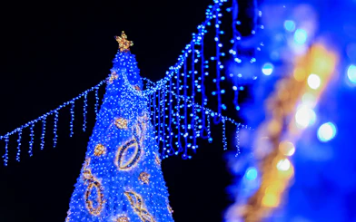 Blue Christmas lights display during Singapore Night Tour.