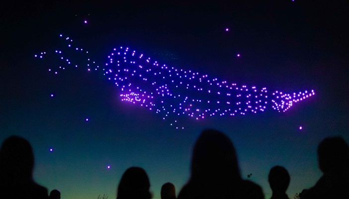 Silhouetted crowd watching a drone light show forming a whale in the night sky.