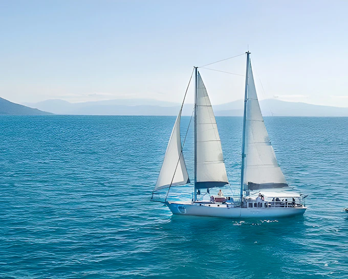Cairns to Green Island and Outer Reef Sailing Cruise with Guided Snorkel and Lunch