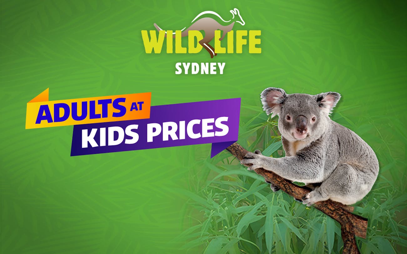 Koala on branch with "Wild Life Sydney" and "Adults at Kids Prices" text.