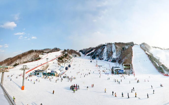 Tourists skiing and snowboarding at Vivaldi Park Ski World in South Korea.