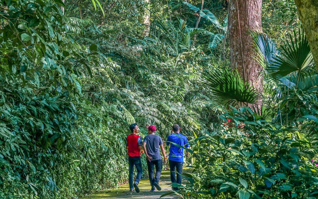 Guests walking through lush greenery at Habitat Penang Hill.