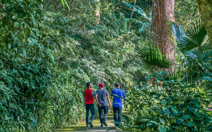 Guests walking through lush greenery at Habitat Penang Hill.