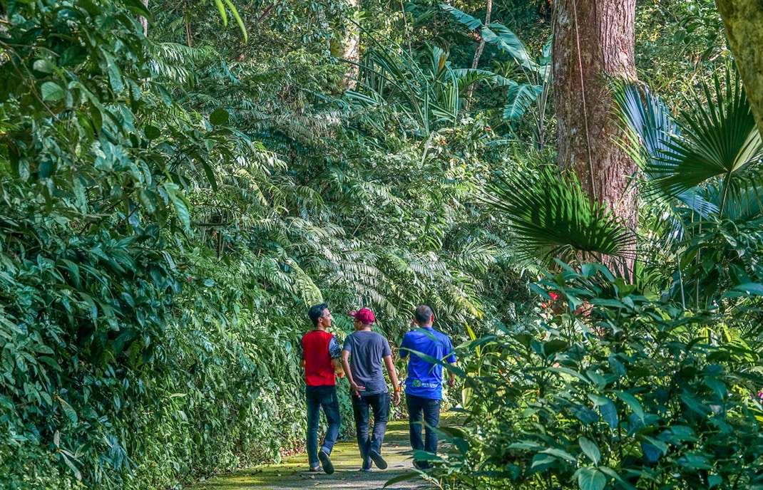 Guest exploring the lush greenery and diverse wildlife at Habitat Penang Hill, Malaysia