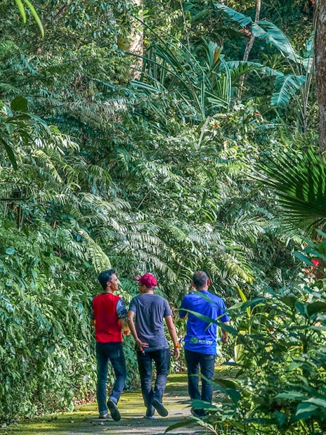 Guests walking through lush greenery at Habitat Penang Hill.