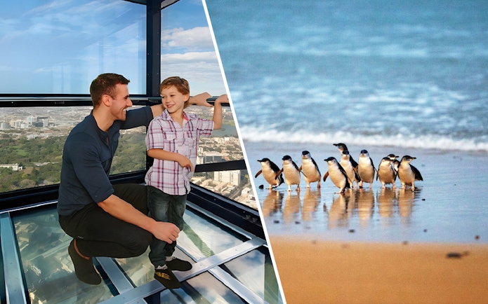 Father and son on Melbourne Skydeck at Eureka Tower; penguins at Phillip Island Nature Parks.