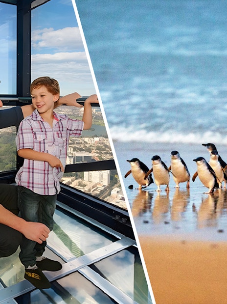 Father and son on Melbourne Skydeck at Eureka Tower; penguins at Phillip Island Nature Parks.