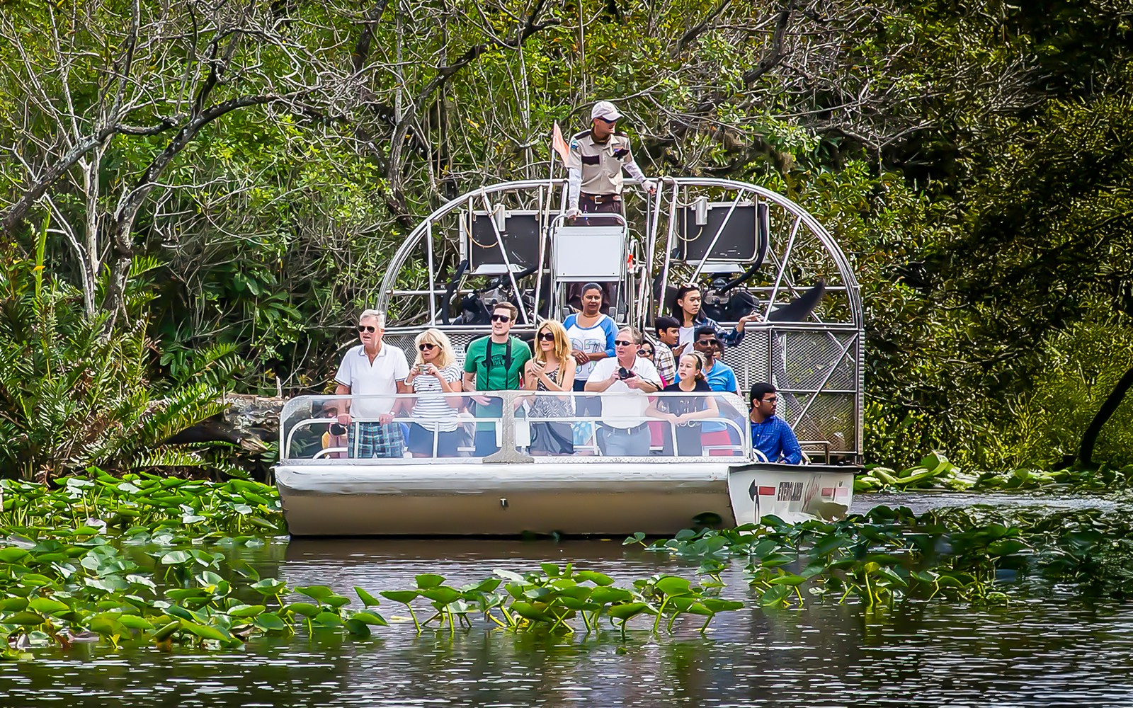 Guests on an airboat tour in Everglades National Park surrounded by lush greenery.