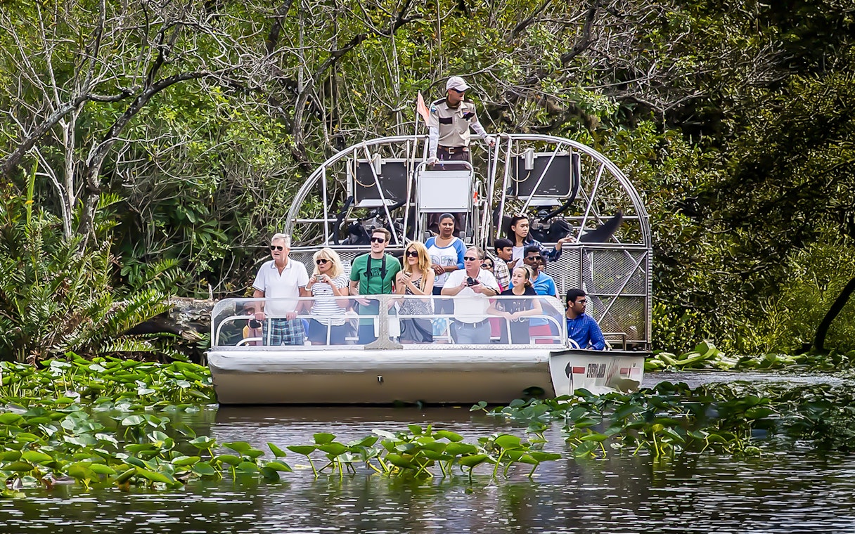 Guests on an airboat tour in Everglades National Park surrounded by lush greenery.