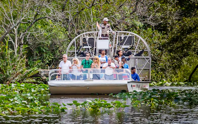 Guests on an airboat tour in Everglades National Park surrounded by lush greenery.