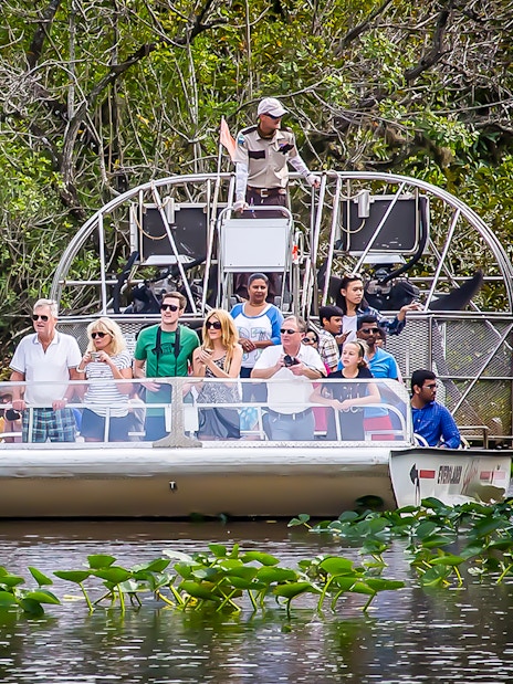 Guests on an airboat tour in Everglades National Park surrounded by lush greenery.