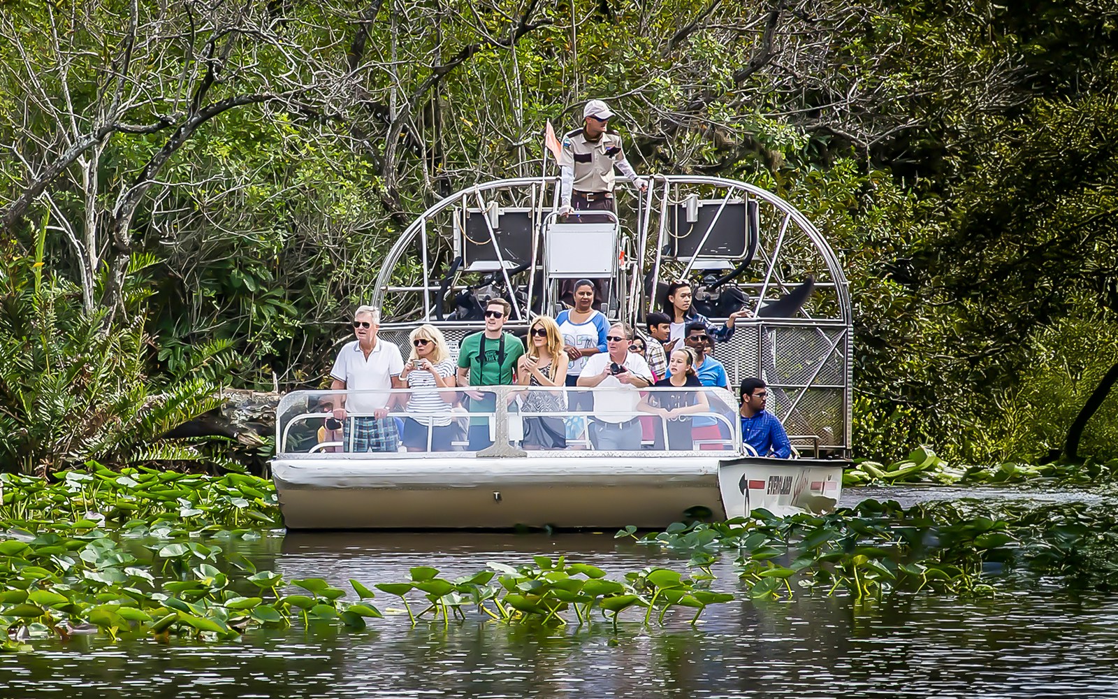 Guests on an airboat tour in Everglades National Park surrounded by lush greenery.