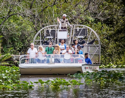 Guests on an airboat tour in Everglades National Park surrounded by lush greenery.