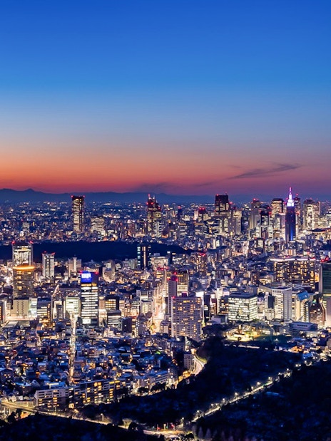 Tokyo skyline at sunset from Roppongi Hills Observation Deck.