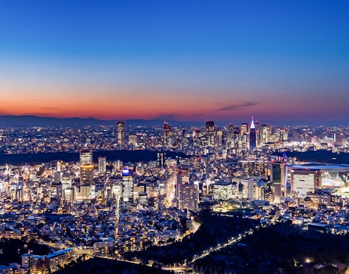 Tokyo skyline at sunset from Roppongi Hills Observation Deck.