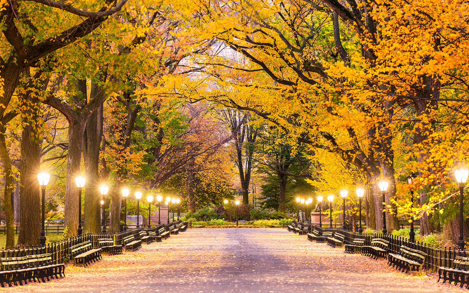 Central Park in New York City during evening in autumn season