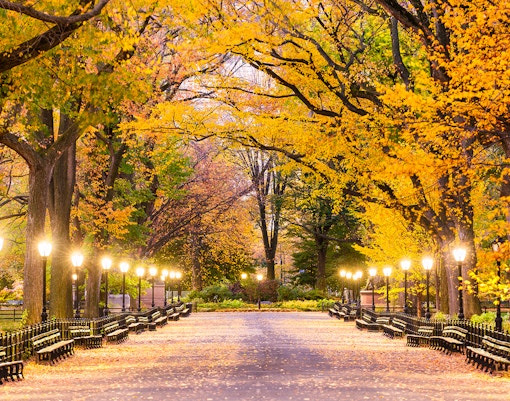 Central Park in New York City during evening in autumn season