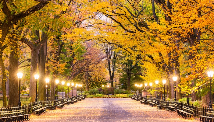 Central Park in New York City during evening in autumn season