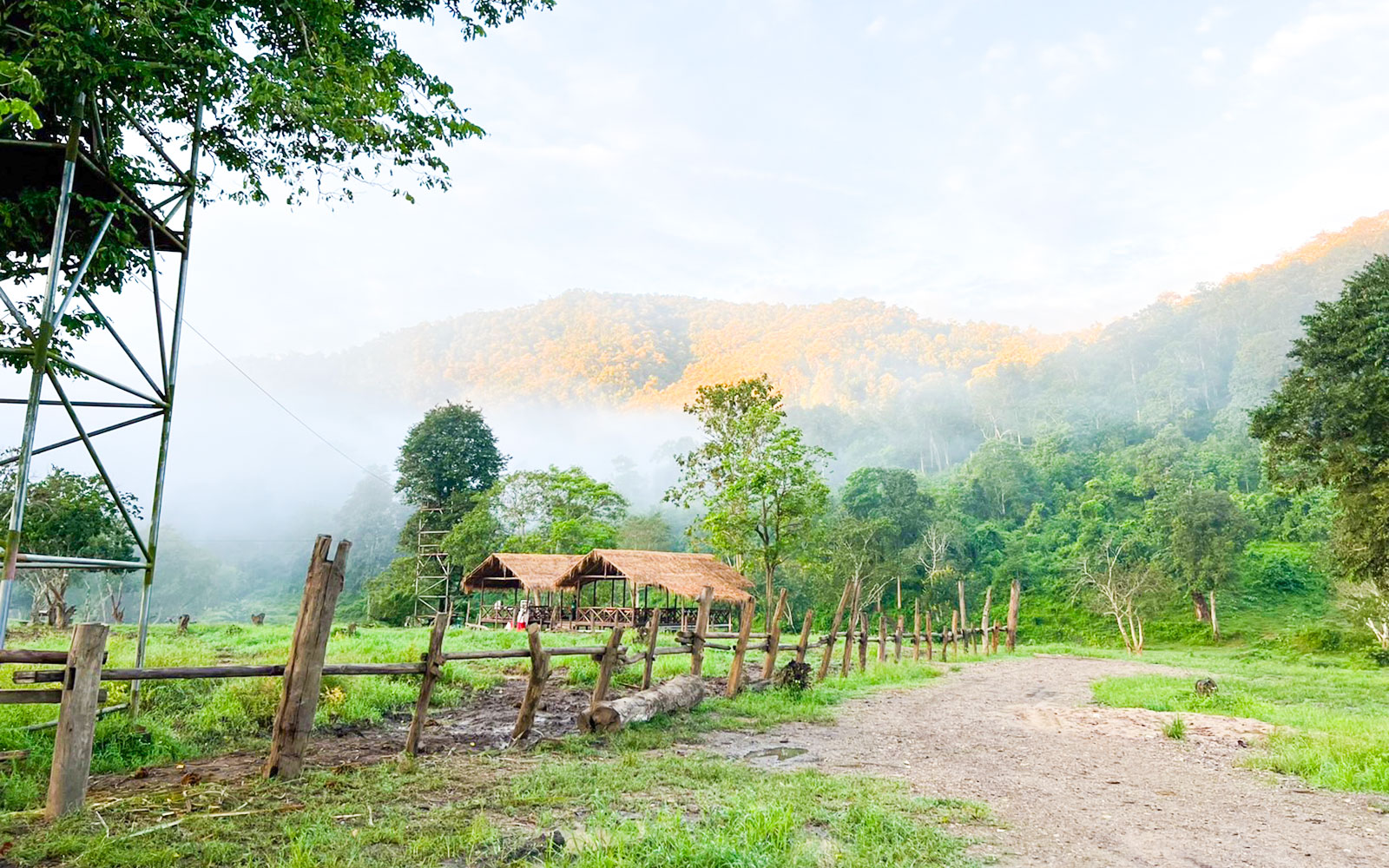 Misty morning at the elephant sanctuary in Chiang Mai, Thailand, with mountains and rustic huts.