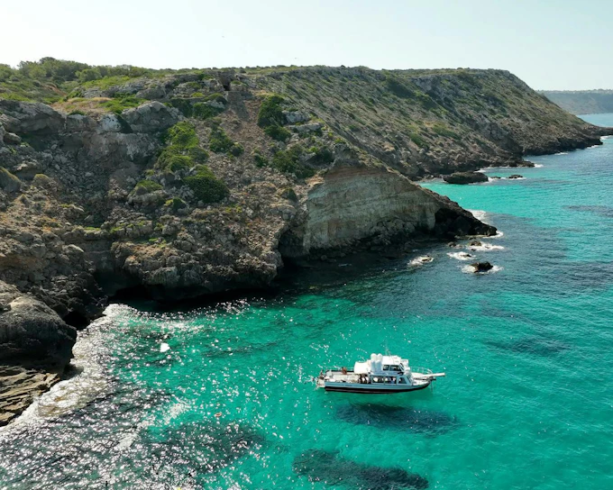 From Palma de Mallorca: Daytime cruise