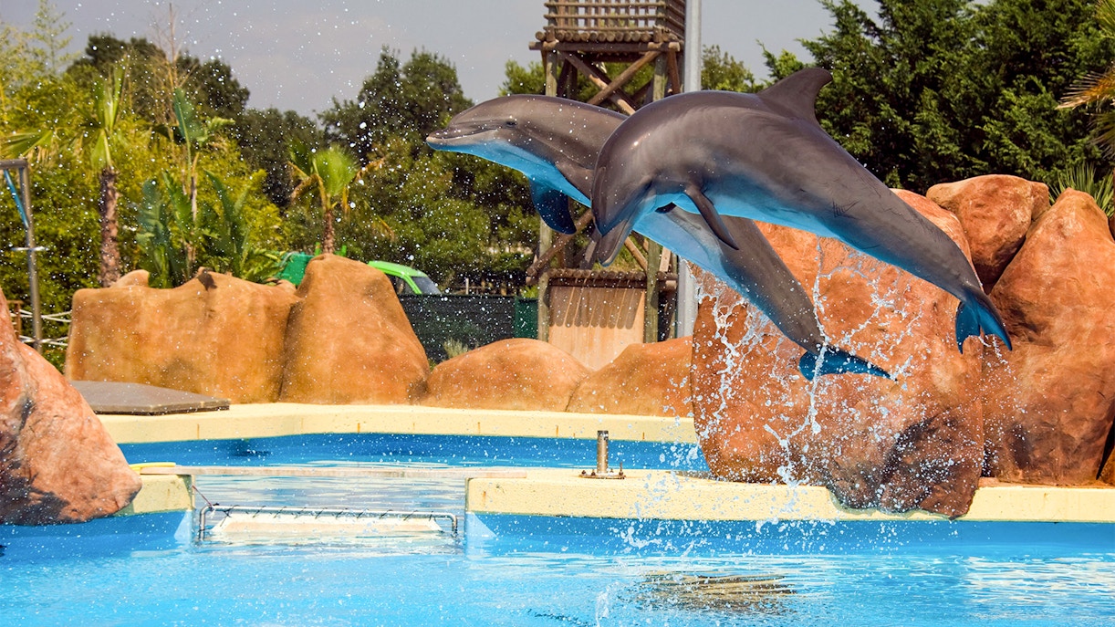 Marineland of Antibes