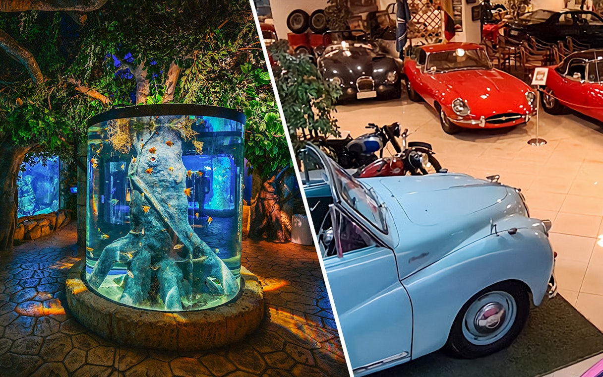 Malta National Aquarium tank and classic cars at Malta Classic Car Collection Museum.
