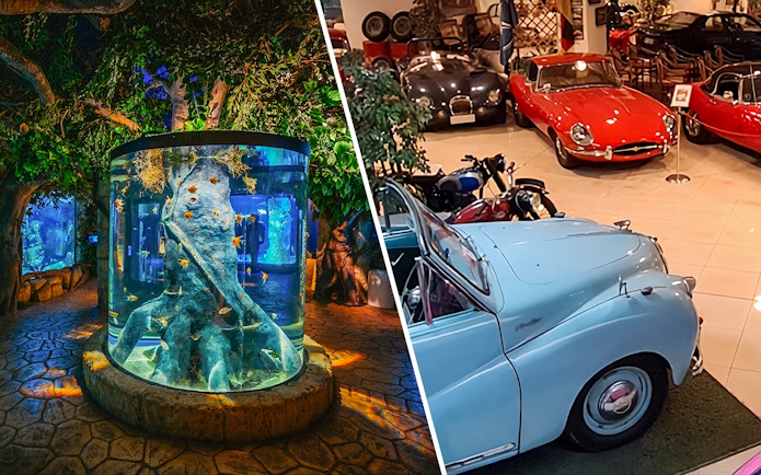 Malta National Aquarium tank and classic cars at Malta Classic Car Collection Museum.