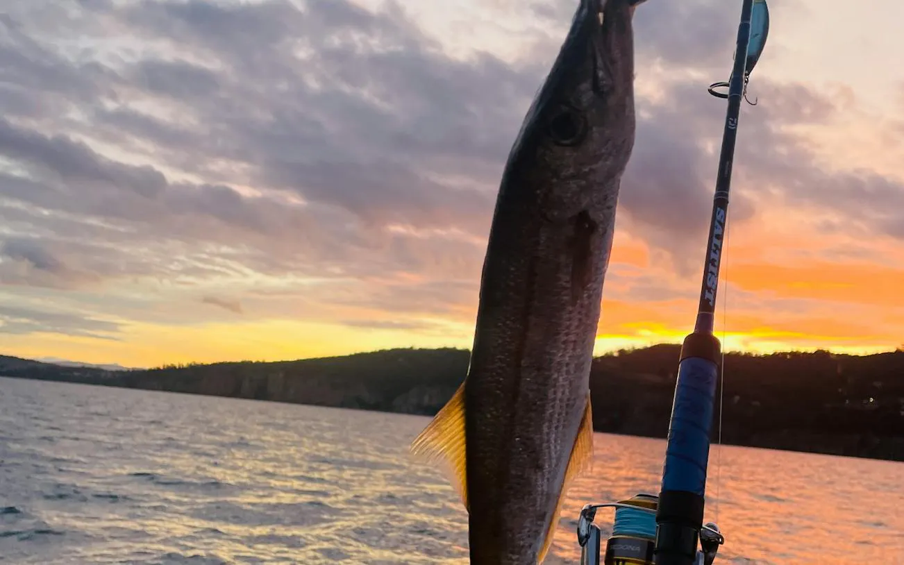 Fishing rod with a caught fish at sunset on Hobart Half-Day Fishing, Diving & Gourmet Cruise.