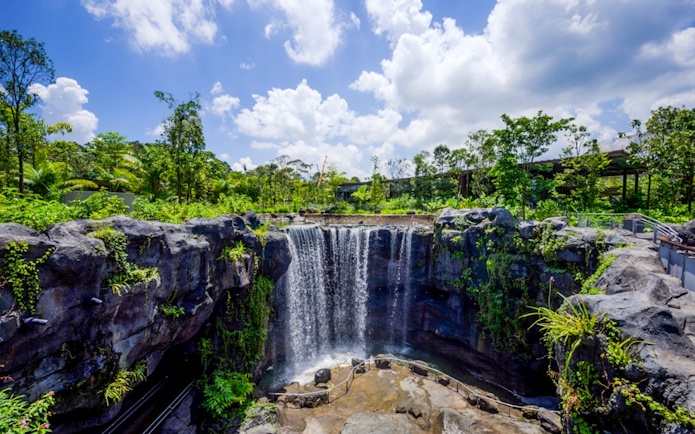 Waterfall surrounded by lush greenery at Bird Paradise, Singapore Zoo.