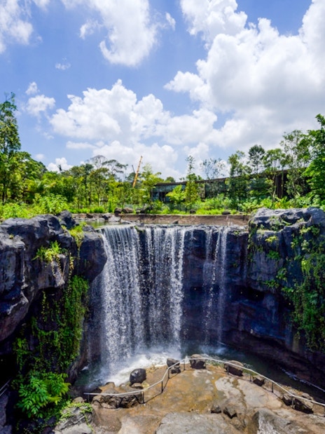 Waterfall surrounded by lush greenery at Bird Paradise, Singapore Zoo.